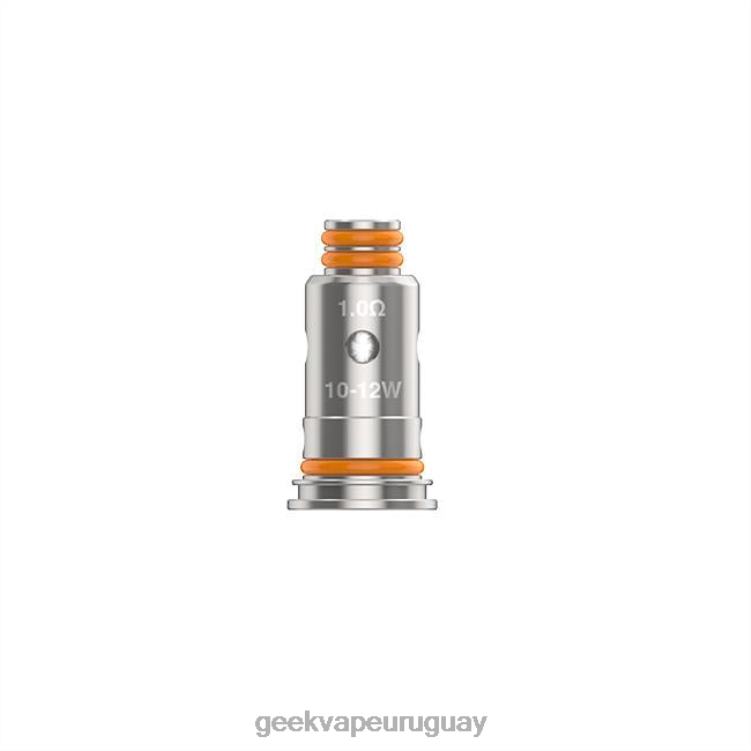 4028P23 - GEEKVAPE Uruguay g1.0 ohmios 5 unids/pack bobina serie g GeekVape