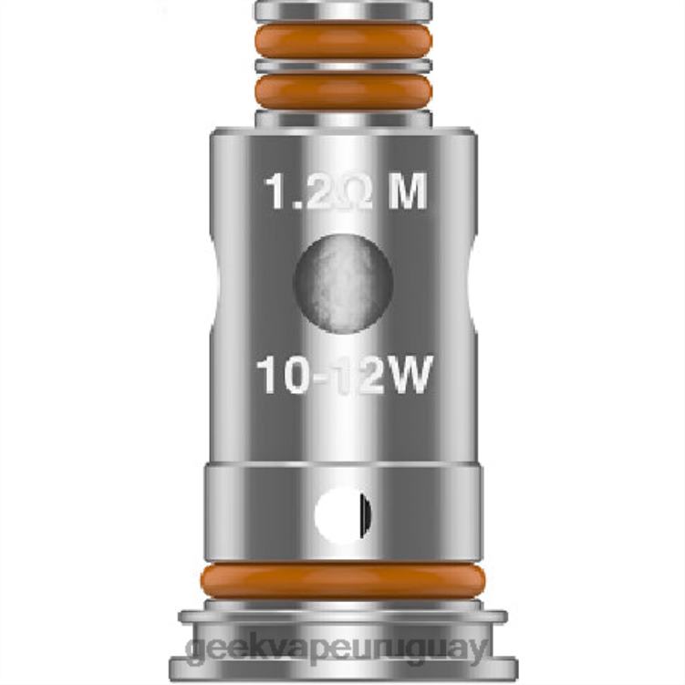 4028P23 - GEEKVAPE Uruguay g1.0 ohmios 5 unids/pack bobina serie g GeekVape