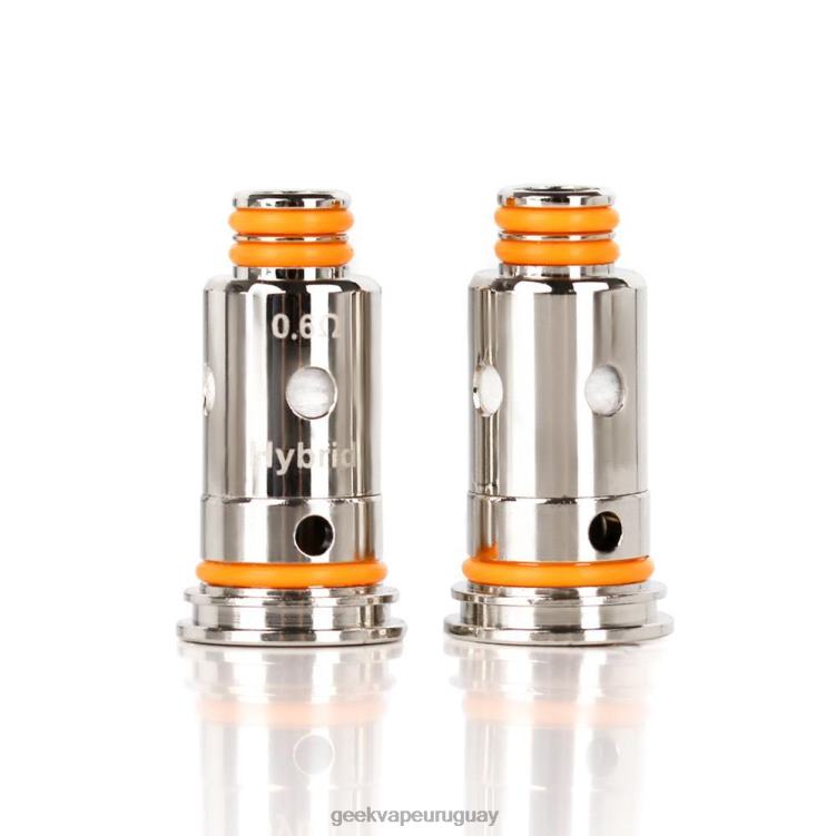 4028P23 - GEEKVAPE Uruguay g1.0 ohmios 5 unids/pack bobina serie g GeekVape